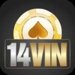 14vin King - Win Real BRL